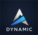 Dynamic Audit